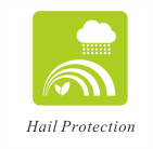 hail-protection grandine protezione