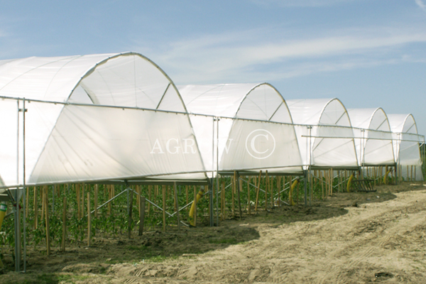 Serra Poly Tunnel