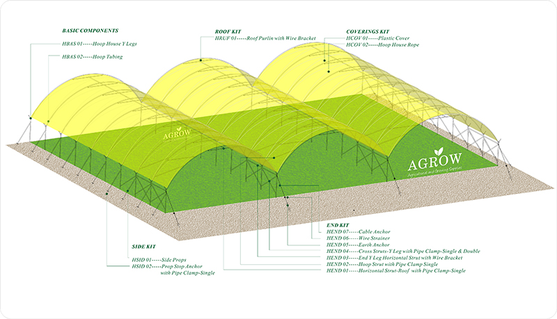 Agok Standard Multi-bay Hoop House Design.jpg