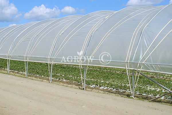 Poly Tunnel a singola baia