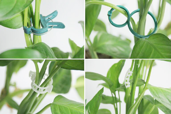 Tomato Grafting Clips.jpg