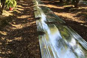 Pellicole riflettenti 300x200.jpg