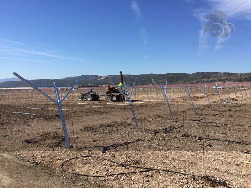 Estructura per Vi&ntilde;edos Espa&ntilde;a