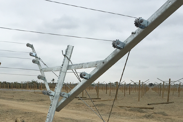 Open Gable Trellis System Terminale a rete